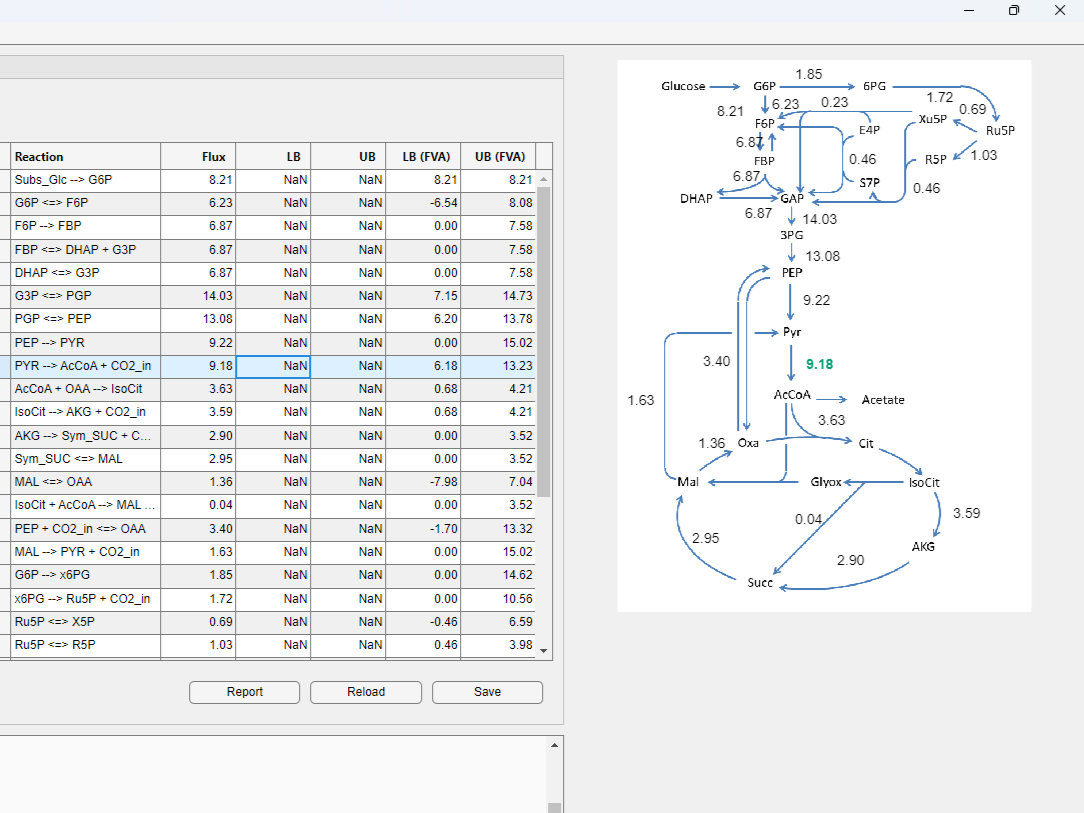 flux_map_visualization